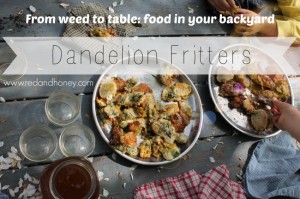 Dandelion Fritters