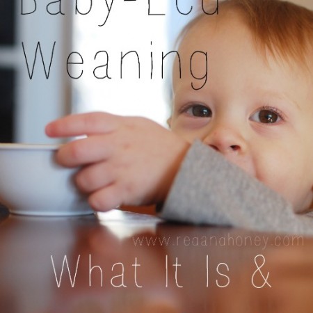 Baby-Led Weaning, Solid food, baby food