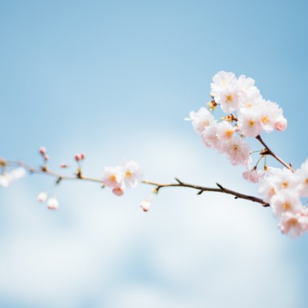 5 Ways to Invite Silence into Your Day