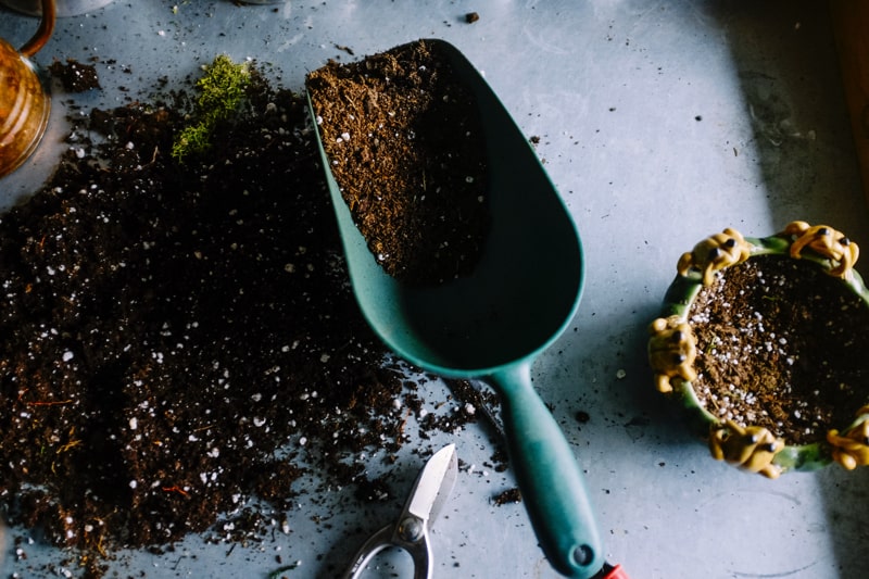 Image is an overhead shot of a blue shovel full of dirt.