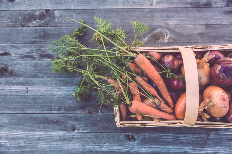 Want to start your own backyard compost for your own amazing, nutrient-rich soil? No problem! This post shares some of our best hints and tips to get your backyard compost bin started, and thriving!