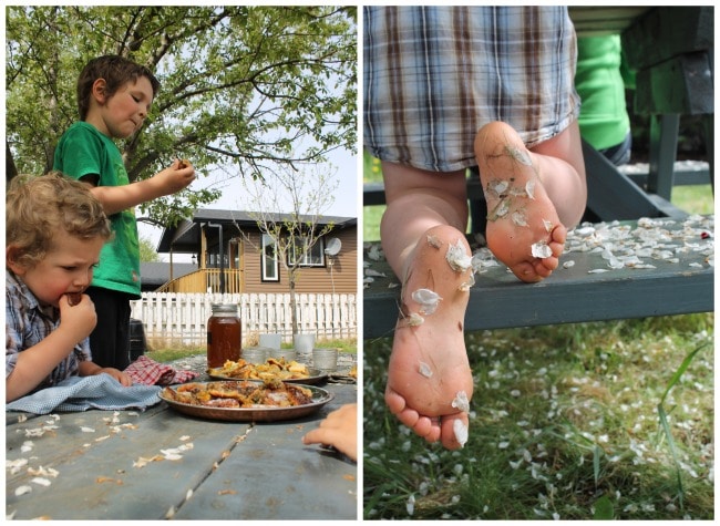 a collage image with two young boys at a table in the backyard, feasting on fried dandelion fritters, plus a close-up image of little boy feet with springtime blossoms stuck to them, sitting at the picnic table.