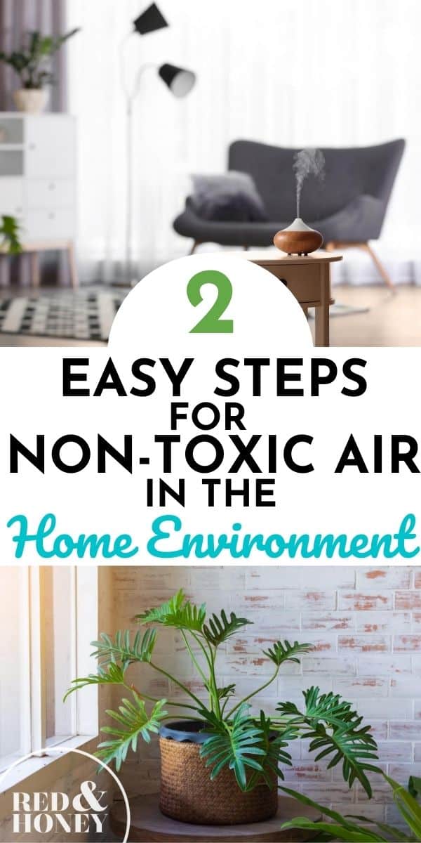 2 Easy Steps Purify Air Naturally in the Home Environment