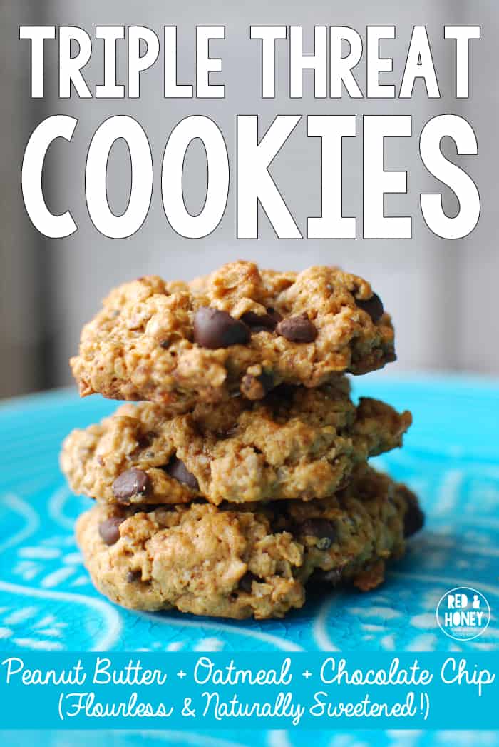 These are amazing, healthy, chocolate chip cookies (I didn't know there was such a thing!! :))