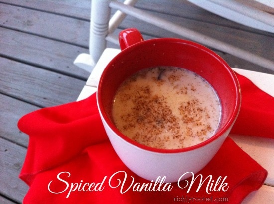 Spiced-Vanilla-Milk-RichlyRooted.com_1