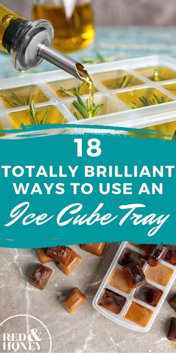 18 Totally Brilliant Ways to Use an Ice Cube Tray Red and Honey