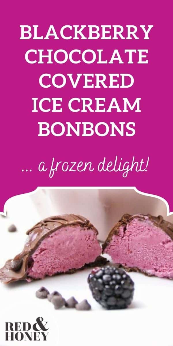 Blackberry ChocolateCovered Ice Cream Bon Bons Red and Honey
