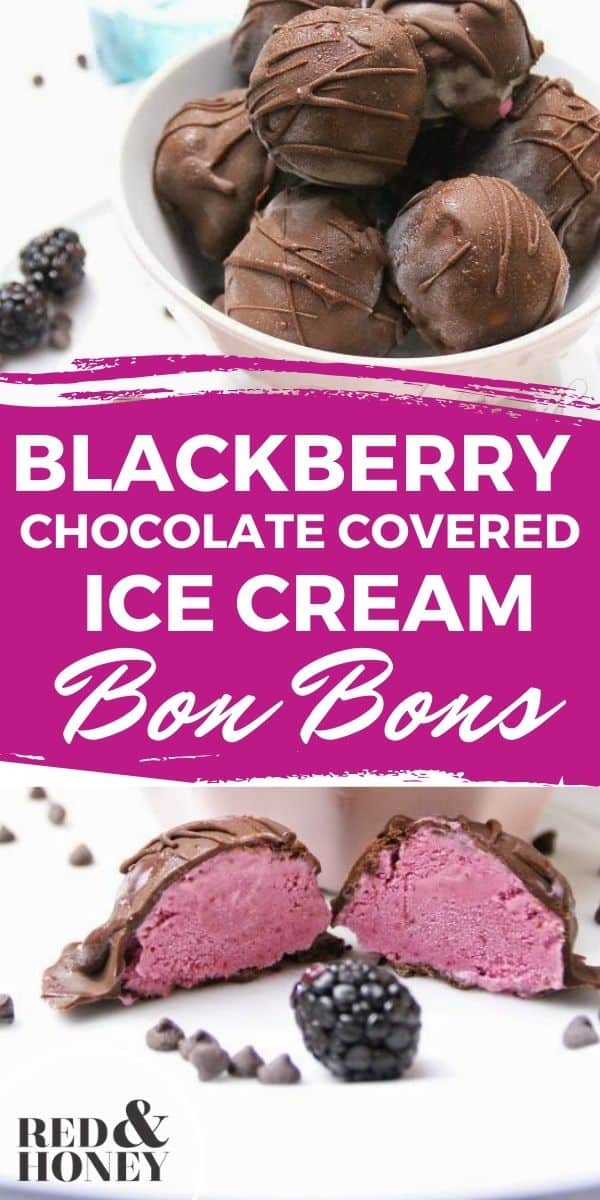 Blackberry ChocolateCovered Ice Cream Bon Bons Red and Honey