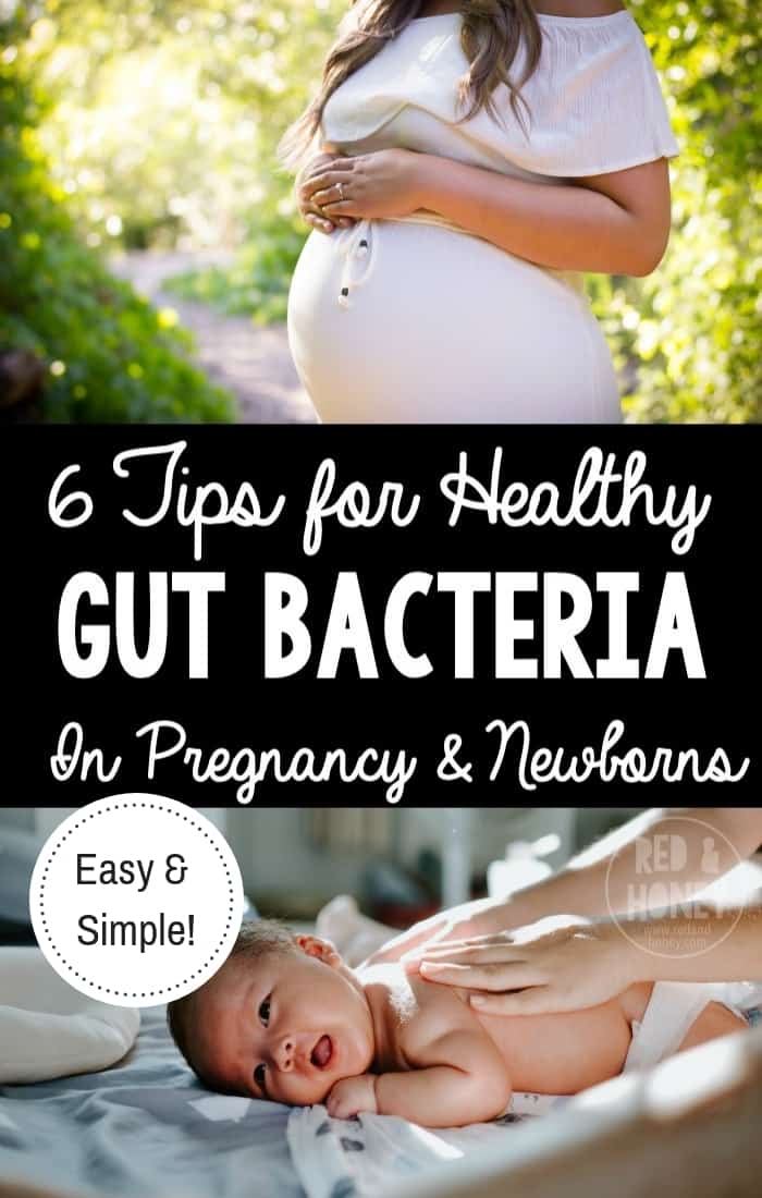 Tips for Healthy Gut Bacteria in Pregnancy and Newborns Red and Honey