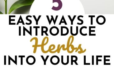 Pinterest pin with two images. One image is of multiple bowls of herbs. Second image is of two bottles of essential oils and fresh herbs. Text overlay says, "Easy Ways to Introduce Herbs Into Your Life: 5 easy steps!"