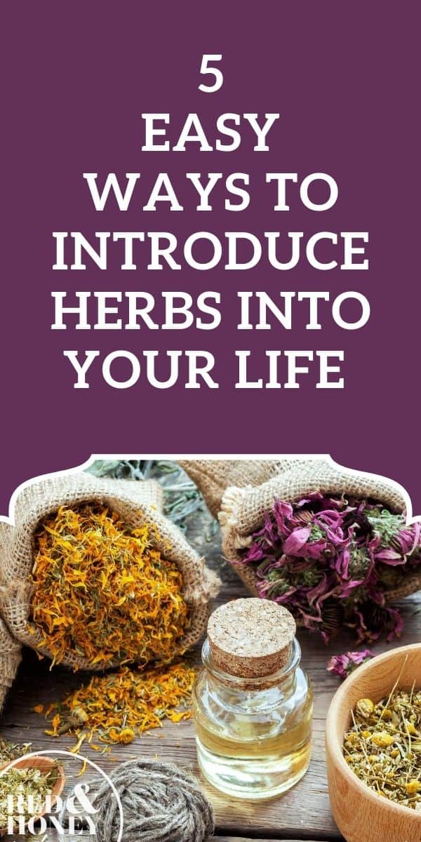 5 Easy Ways To Introduce Herbs Into Your Life - Red And Honey