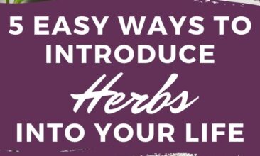 Pinterest pin with two images. One image is of multiple bowls of herbs. Second image is of two bottles of essential oils and fresh herbs. Text overlay says, "Easy Ways to Introduce Herbs Into Your Life: 5 easy steps!"