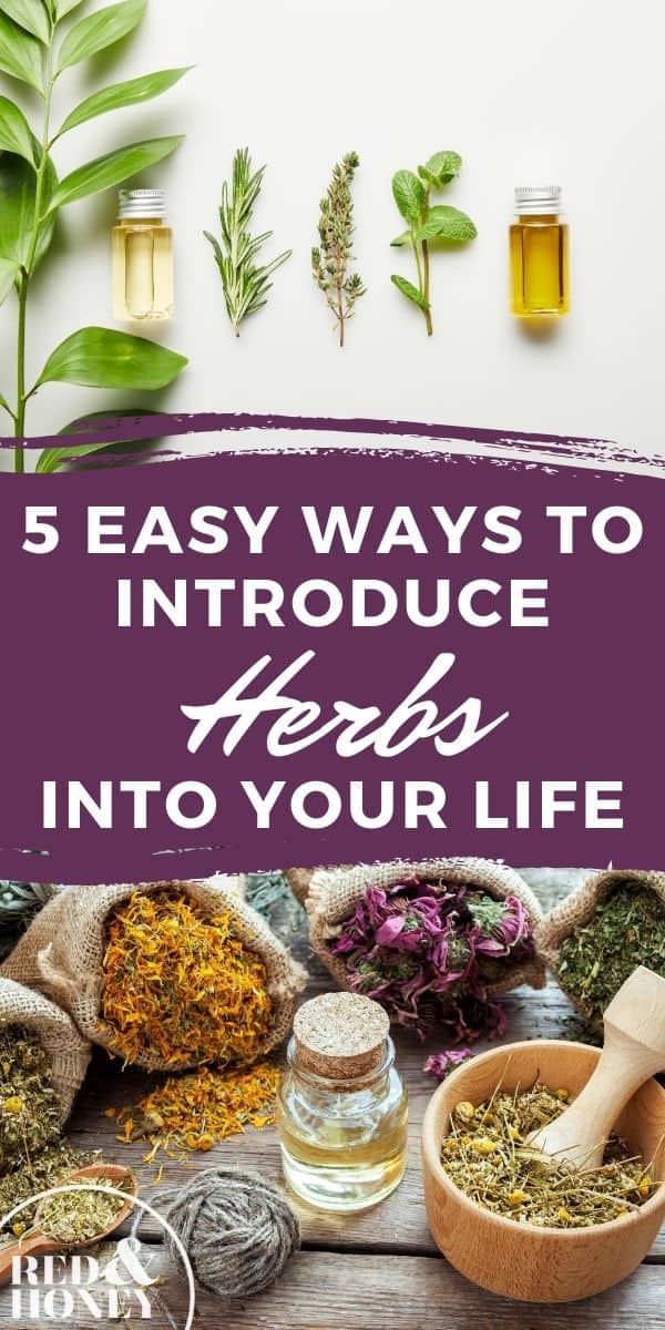 5 Easy Ways to Introduce Herbs Into Your Life - Red and Honey