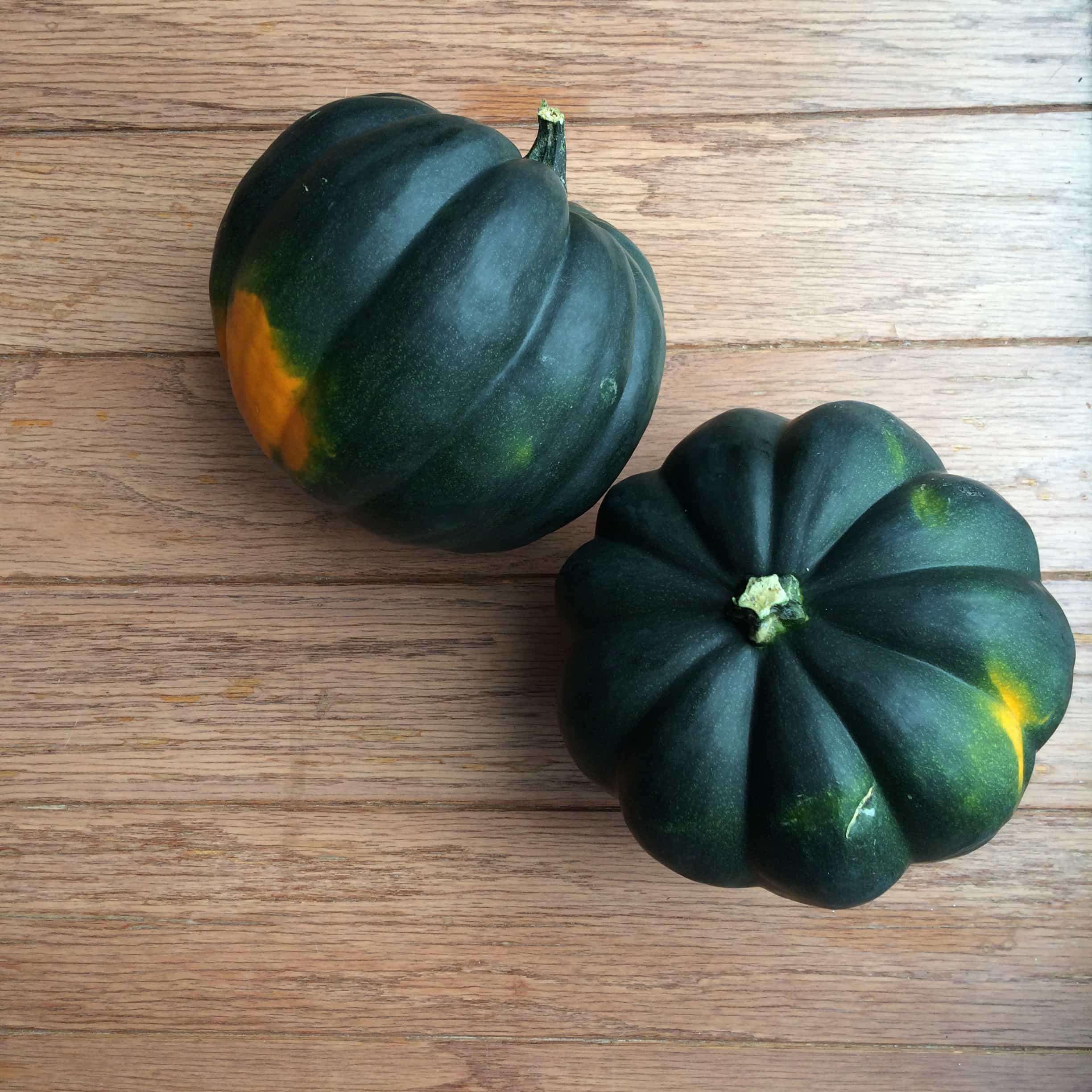 Acorn squash deals