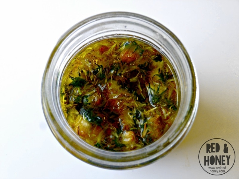 How to Make Herbal Infused Oil 1