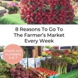 Pinterest pin collage of different farmer's market tables filled with produce. Text Overlay reads "8 Reasons Our Family Goes To The Farmer’s Market Every Week"