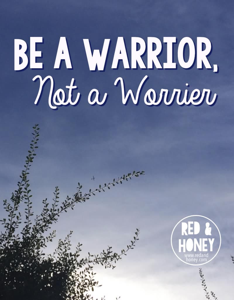 Be A Warrior, Not A Worrier - Red And Honey