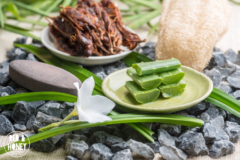 Sliced Aloe Vera leaves on plate, spa elements