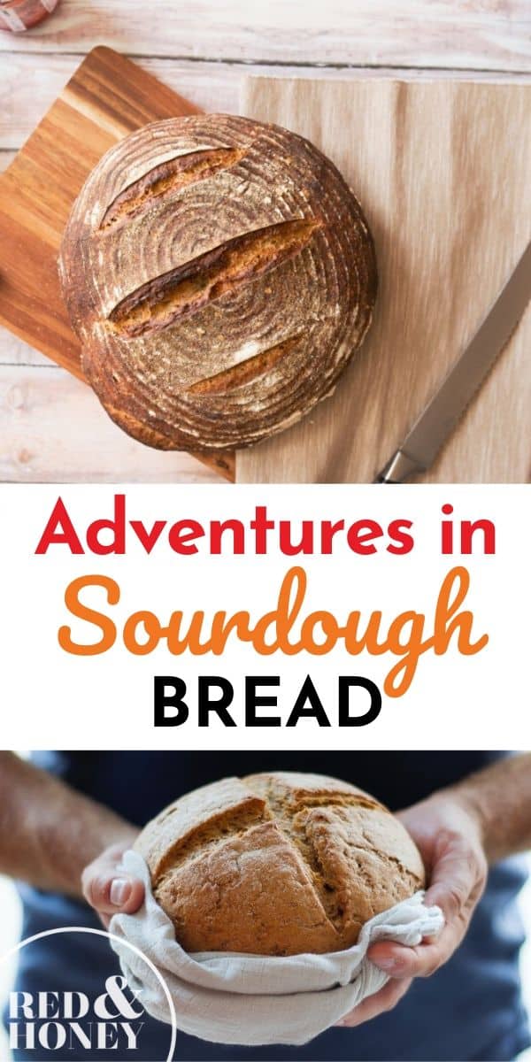 Adventures in Sourdough Bread A BreadLover’s Journey to Healthier Bread Red and Honey