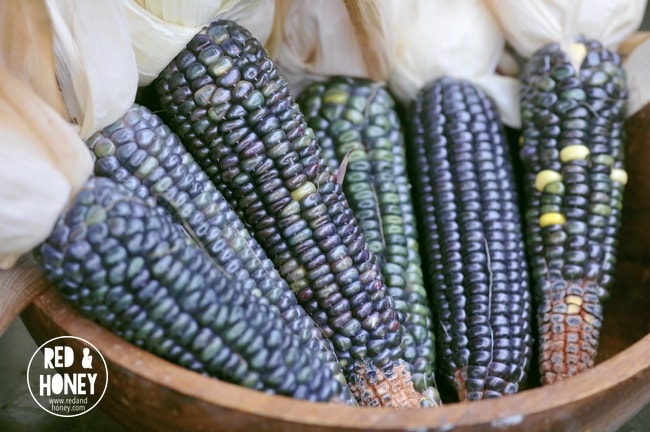 An image of blue milpa in a wooden bowl.