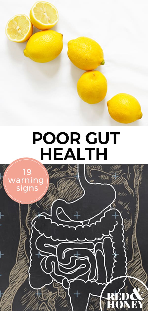 Poor Gut Health 19 Warning Signs You Should Know Red And Honey