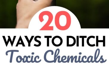 Pinterest pin with two images. One image is of a hand holding a stainless steel water bottle. Second image is of a woman holding a baby up in the air. Text overlay says, "20 Ways to Ditch Toxic Chemicals From Your Life: Going Green Never Felt So Good".