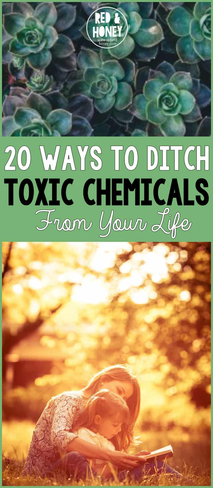 When I first started to experience chronic health issues, and realized the importance of reducing the toxic burden on my body, I was shocked at how harsh the products are that we use in and around our bodies every day! After cutting out the toxic chemicals in many areas of my life these past few years, I’ve noticed a huge difference in how I feel.