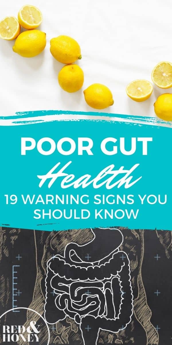 poor-gut-health-19-warning-signs-you-should-know-red-and-honey