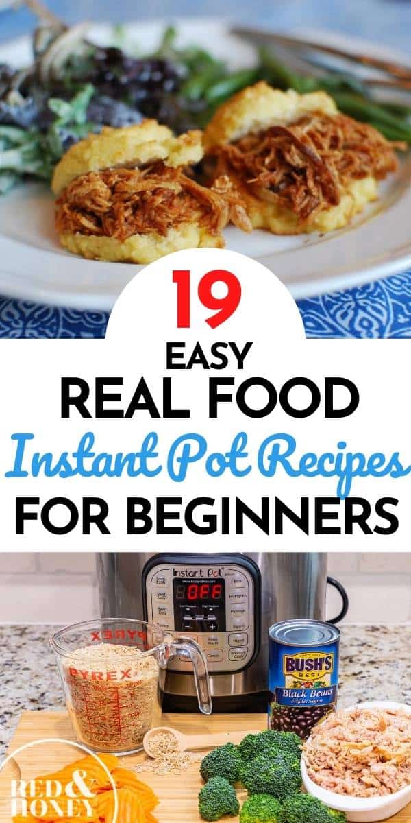 Easy Instant Pot Recipes for Beginners (Real Food Ingredients!)