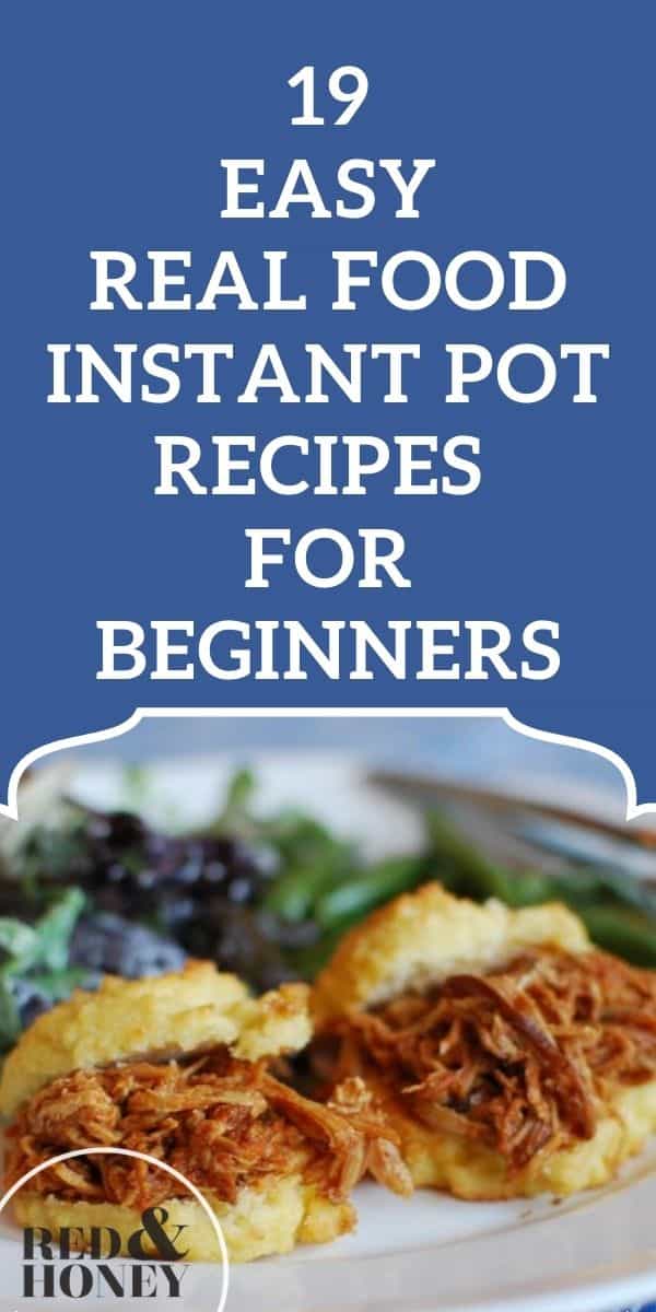 Easy Instant Pot Recipes for Beginners (Real Food Ingredients!)