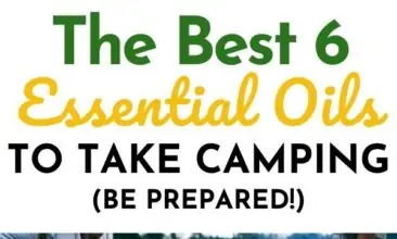 Pinterest pin with two images. Top image is a woman holding a cup of coffee sitting in the woods. Bottom image is of some kids holding sticks over a low fire. Text Overlay says: "6 Best Essential Oils to Take Camping"