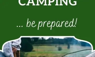 Pinterest pin, image is of some kids holding sticks over a low fire. Text Overlay says: "6 Best Essential Oils to Take Camping"