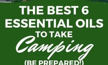 Pinterest pin with two images. Top image is a woman holding a cup of coffee sitting in the woods. Bottom image is of some kids holding sticks over a low fire. Text Overlay says: "6 Best Essential Oils to Take Camping"