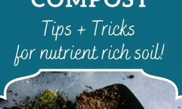 Pinterest pin, image is of a pile of dirt and a scoop. Text overlay says, "How to Start a Successful Backyard Compost: tips & tricks for nutrient rich soil".