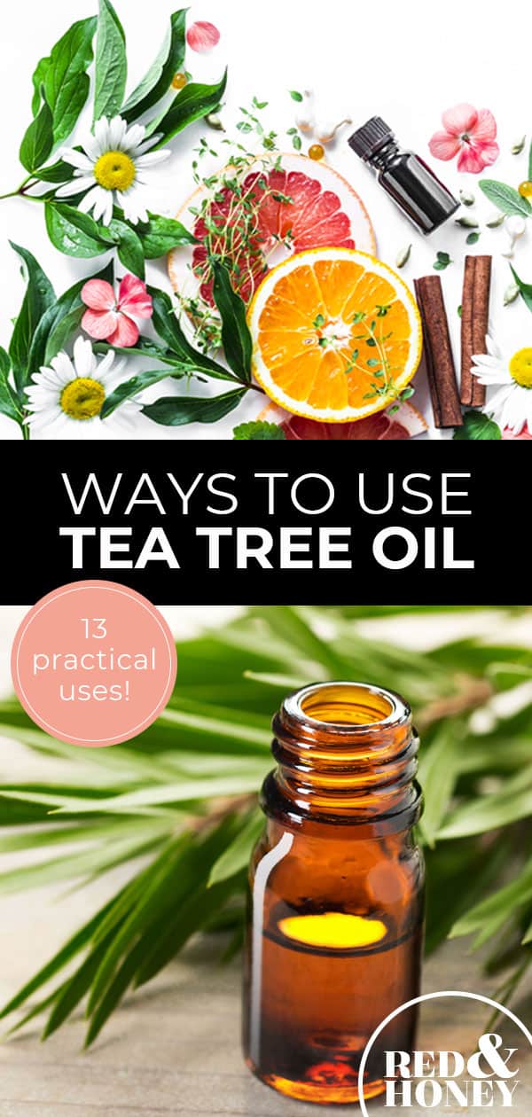 13 Incredibly Practical Ways to Use Tea Tree Oil (and Why It's my All ...