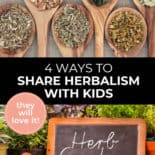 Pinterest pin with two images. Top image is of 6 large wooden spoons filled with dried herbs. Bottom image is of fresh herbs piled on a table with a chalkboard sign that says "Herb Garden". Text overlay says, "4 Ways to Share Herbalism with Kids: they will love it!"