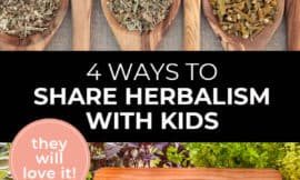 Pinterest pin with two images. Top image is of 6 large wooden spoons filled with dried herbs. Bottom image is of fresh herbs piled on a table with a chalkboard sign that says "Herb Garden". Text overlay says, "4 Ways to Share Herbalism with Kids: they will love it!"
