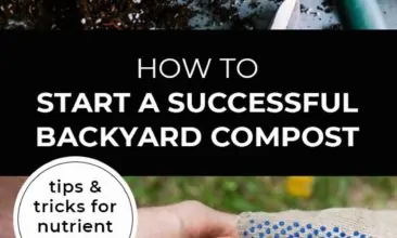 Longer Pinterest pin with two images. Top image is of a pile of dirt and a scoop. Bottom image is of two sets of hands holding a bowl of cherry tomatoes. Text overlay says, "How to Start a Successful Backyard Compost: tips & tricks for nutrient rich soil".