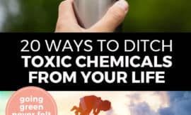 Pinterest pin with two images. Top image is of a hand holding a stainless steel water bottle. Bottom image is of a woman holding a baby up in the air. Text overlay says, "20 Ways to Ditch Toxic Chemicals From Your Life: Going Green Never Felt So Good".