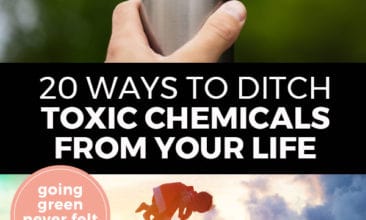 Pinterest pin with two images. Top image is of a hand holding a stainless steel water bottle. Bottom image is of a woman holding a baby up in the air. Text overlay says, "20 Ways to Ditch Toxic Chemicals From Your Life: Going Green Never Felt So Good".