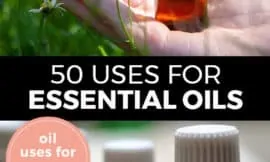 Pinterest pin with two images. Top image is of a hand holding a bottle of essential oil. Bottom image is of four bottles of essential oils. Text overlay says, "50 Uses for Essential Oils: oil uses for every day!"