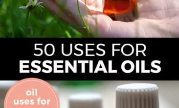 Pinterest pin with two images. Top image is of a hand holding a bottle of essential oil. Bottom image is of four bottles of essential oils. Text overlay says, "50 Uses for Essential Oils: oil uses for every day!"