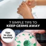 Pinterest pin with two images. Top image is of hands being washed under running water. Bottom image is of a petri dish magnified filled with germs. Text overlay says, "7 Simple Tips to Keep Germs Away: tips to stay healthy!"