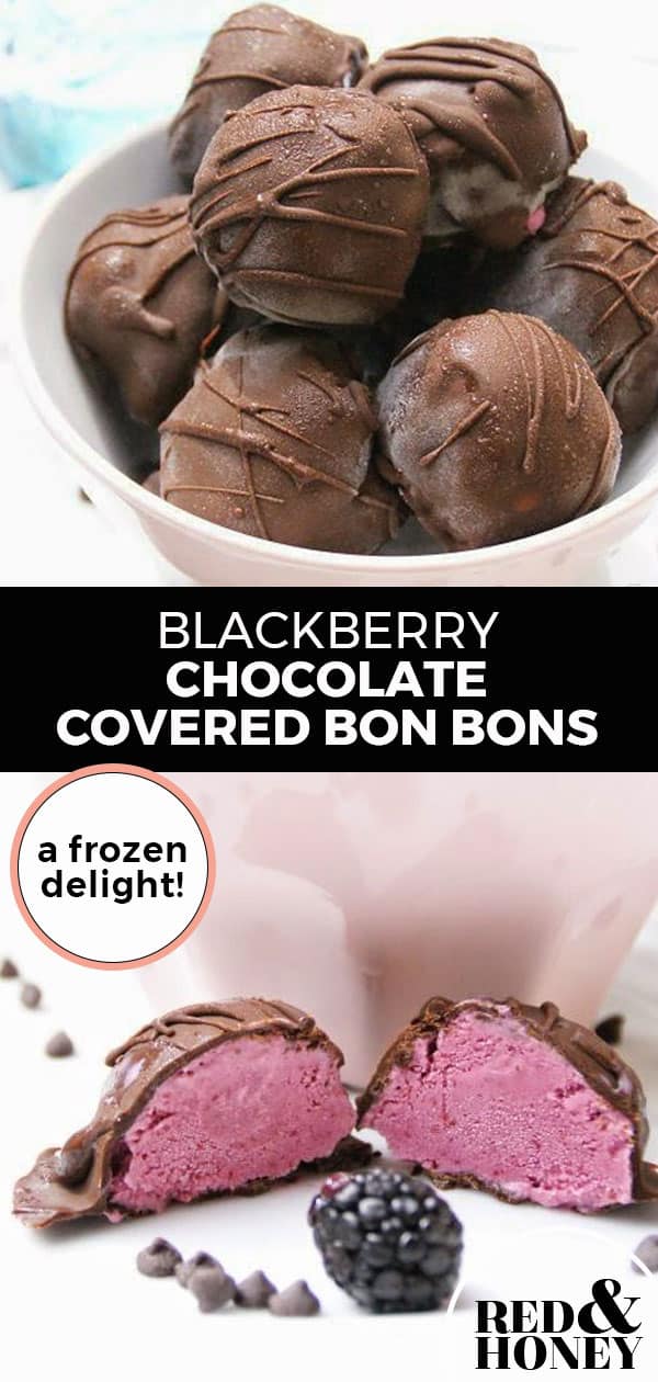 Blackberry ChocolateCovered Ice Cream Bon Bons Red and Honey