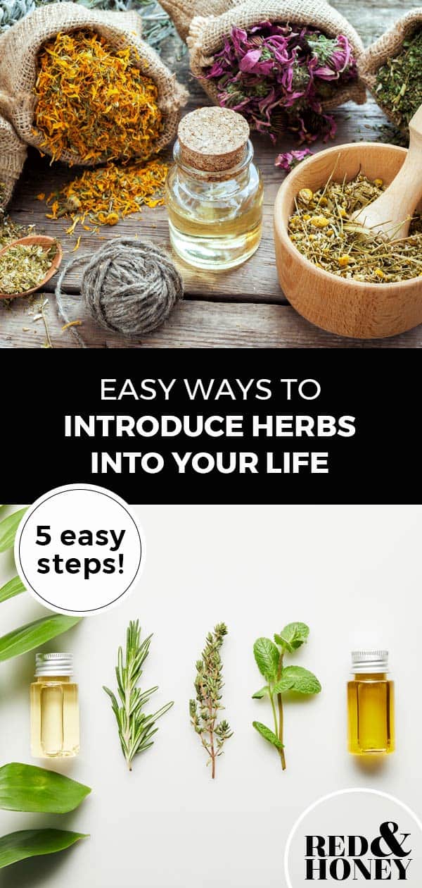 5 Easy Ways to Introduce Herbs Into Your Life - Red and Honey