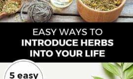 Pinterest pin with two images. Top image is of multiple bowls of herbs. Second image is of two bottles of essential oils and fresh herbs. Text overlay says, "Easy Ways to Introduce Herbs Into Your Life: 5 easy steps!"