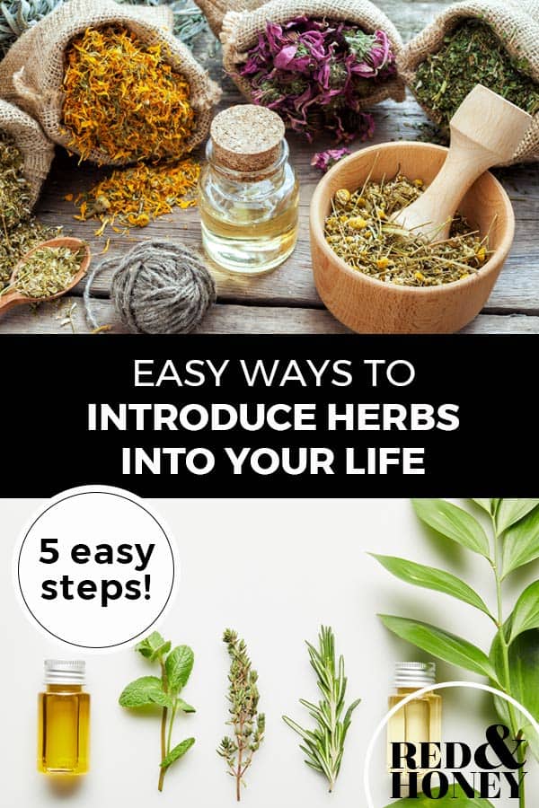 Compliance to Paradise worry 5 Easy Ways to Introduce Herbs Into Your Life - Red and Honey