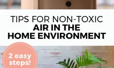 Longer Pinterest pin with two images. Top image is of an essential oil diffuser. Bottom image is of house plant. Text overlay says, "Tips for Non-Toxic Air in the Home Environment: 2 easy steps!"