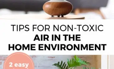 Pinterest pin with two images. Top image is of an essential oil diffuser. Bottom image is of house plant. Text overlay says, "Tips for Non-Toxic Air in the Home Environment: 2 easy steps!"