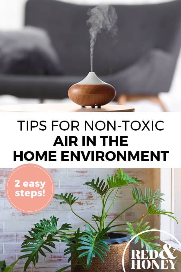 Pinterest pin with two images. Top image is of an essential oil diffuser. Bottom image is of house plant. Text overlay says, "Tips for Non-Toxic Air in the Home Environment: 2 easy steps!"